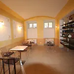 Apartment Hálkova 5